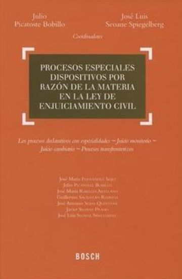 Imagen de Procesos especiales dispositivos por razón de la materia en la Ley de Enjuiciamiento Civil