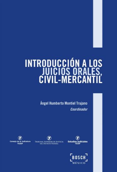 Imagen de Introducción a los juicios orales, civil-mercantil
