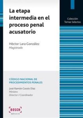 Imagen de La etapa intermedia en el proceso penal acusatorio. 2ª Edición