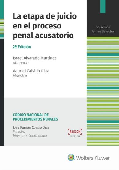 Imagen de La etapa de juicio en el proceso penal acusatorio. 2.ª Edición