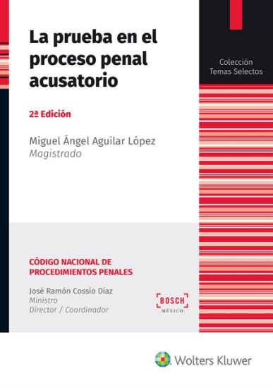 Imagen de La prueba en el proceso penal acusatorio