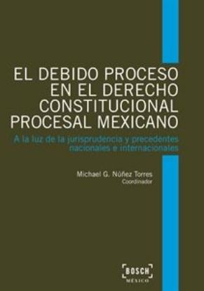 Imagen de El debido proceso en México en materia constitucional 