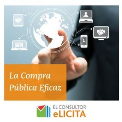 Imagen de El Consultor Elicita Esencial