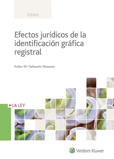 Imagen de Efectos jurídicos de la identificación gráfica registral