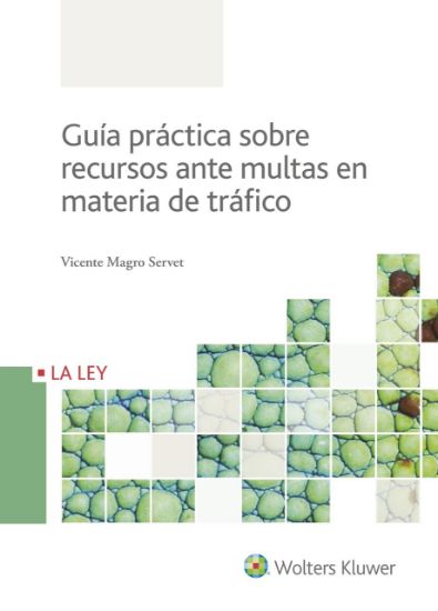 Imagen de Guía práctica sobre recursos ante multas en materia de tráfico