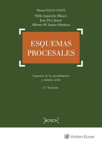 Imagen de Esquemas procesales. 6ª Edición