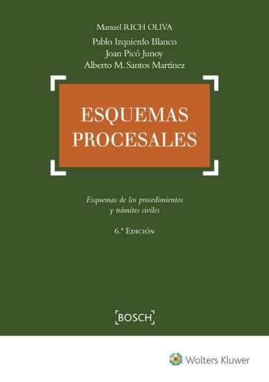 Imagen de Esquemas procesales