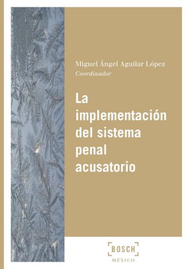 Imagen de La implementación del sistema penal acusatorio