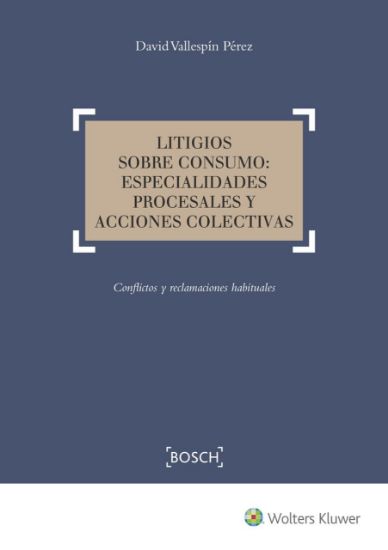 Imagen de Litigios sobre consumo: especialidades procesales y acciones colectivas