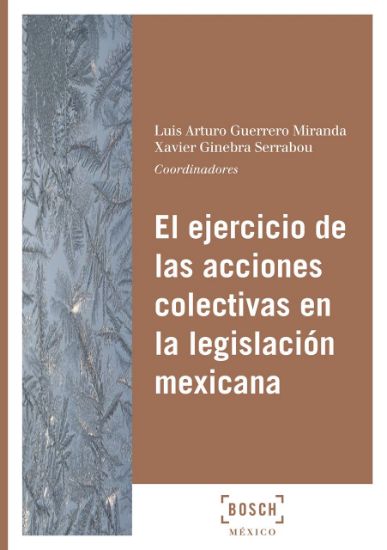 Imagen de El ejercicio de las acciones colectivas en la legislación mexicana