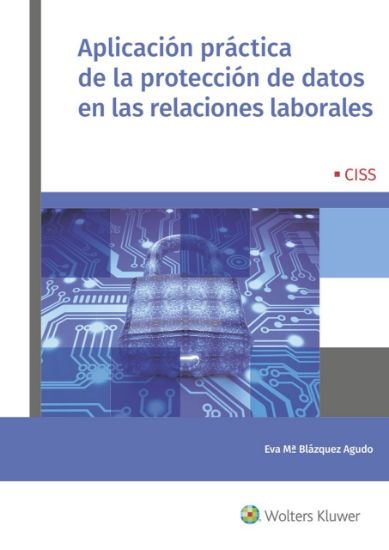 Imagen de Aplicación práctica de la protección de datos en las relaciones laborales