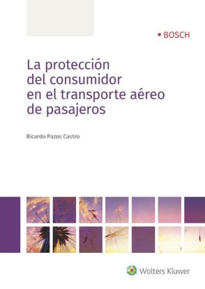 Imagen de La protección del consumidor en el transporte aéreo de pasajeros
