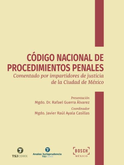 Imagen de Código Nacional de Procedimientos Penales