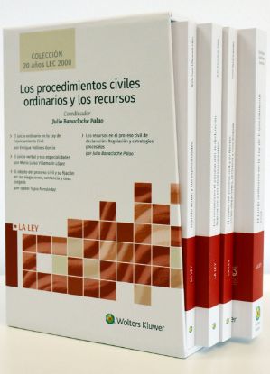 Imagen de Los procedimientos civiles ordinarios y los recursos (Colección 20 años LEC 2000)