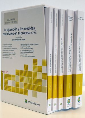 Imagen de La ejecución y las medidas cautelares en el proceso civil (Colección 20 años LEC 2000)