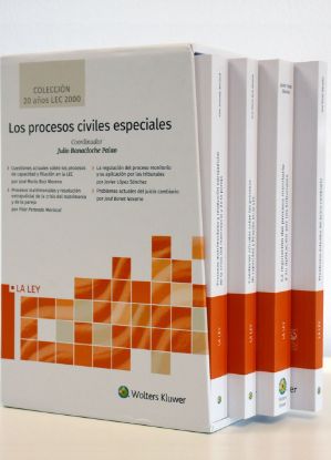 Imagen de Los procesos civiles especiales (Colección 20 años LEC 2000)