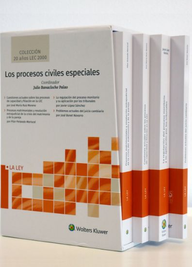 Imagen de Los procesos civiles especiales (Colección 20 años LEC 2000)