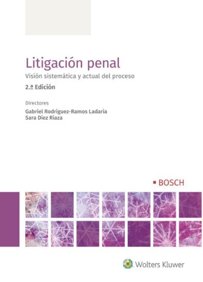 Imagen de Litigación penal, 2ª ed