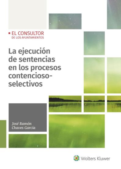 Imagen de La ejecución de sentencias en los procesos contencioso-selectivos