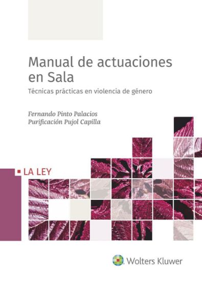 Imagen de Manual de actuaciones en Sala. Técnicas prácticas en violencia de género 