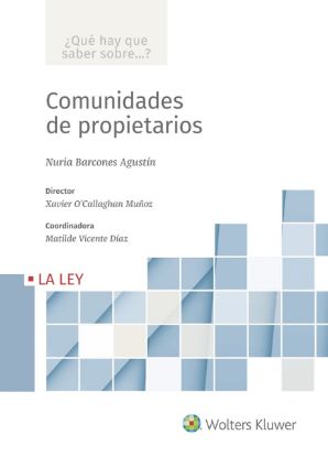 Imagen de Comunidades de propietarios (Colección ¿Qué hay que saber sobre...?)