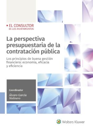 Imagen de La perspectiva presupuestaria de la contratación pública