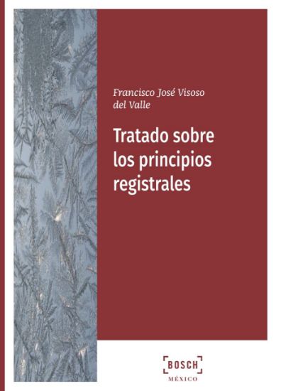 Imagen de Tratado sobre los principios registrales