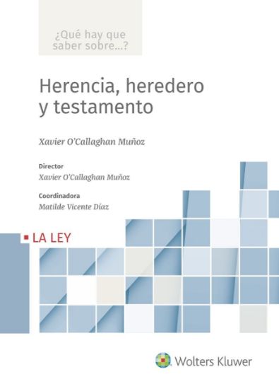 Imagen de Herencia, heredero y testamento  (Colección ¿Qué hay que saber sobre...?)