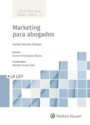 Imagen de Marketing para abogados  (Colección ¿Qué hay que saber sobre...?)