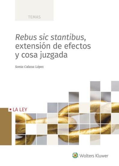 Imagen de Rebus sic stantibus, extensión de efectos y cosa juzgada