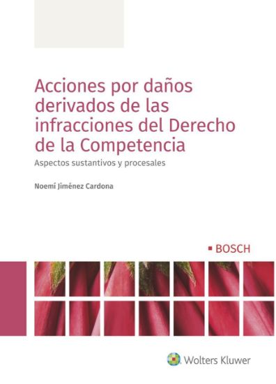 Imagen de Acciones por daños derivados de las infracciones del Derecho de la Competencia