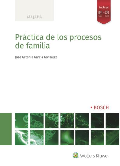 Imagen de Práctica de los procesos de familia