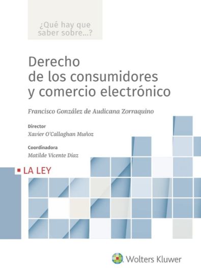 Imagen de Derecho de los consumidores y comercio electrónico (Colección ¿Qué hay que saber sobre...?)