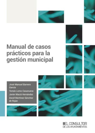 Imagen de Manual de casos prácticos para la gestión municipal