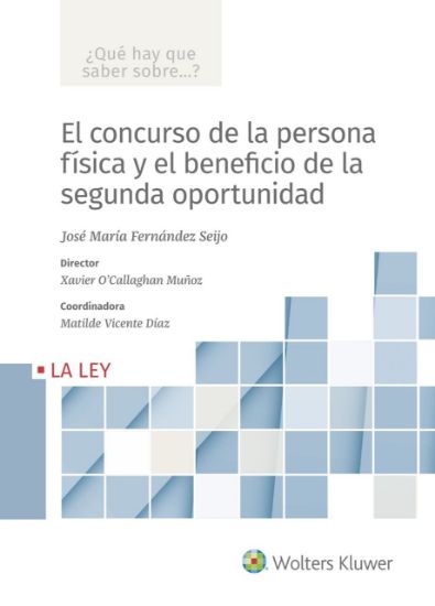 Imagen de El concurso de la persona física y el beneficio de la segunda oportunidad (Colección ¿Qué hay que saber sobre...?)