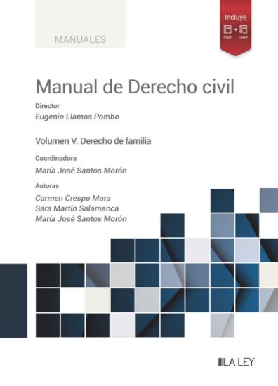 Imagen de Manual de Derecho civil. Vol V. Derecho de familia