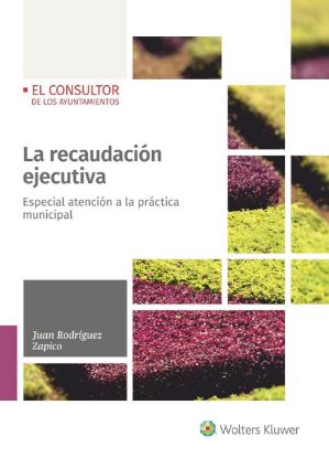 Imagen de La recaudación ejecutiva