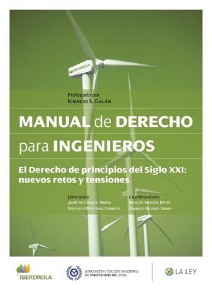 Imagen de Manual de Derecho para Ingenieros (2022)