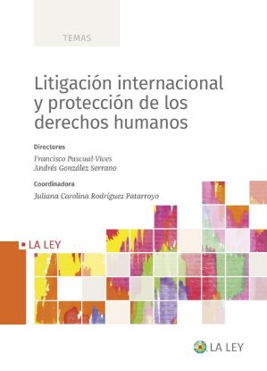 Imagen de Litigación internacional y protección de los derechos humanos