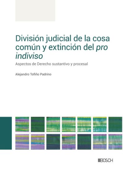 Imagen de División judicial de la cosa común y extinción del pro indiviso