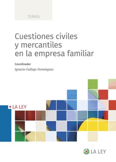 Imagen de Cuestiones civiles y mercantiles en la empresa familiar