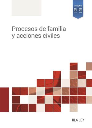 Imagen de Procesos de familia y acciones civiles