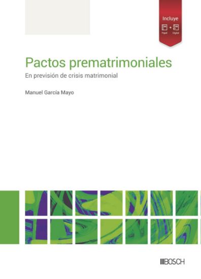 Imagen de Pactos prematrimoniales