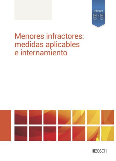 Imagen de Menores infractores: medidas aplicables e internamiento