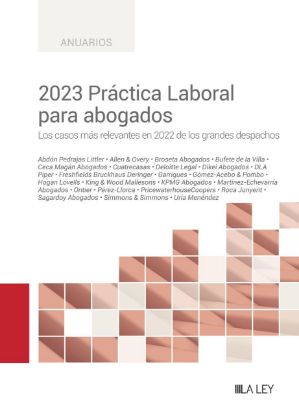 Imagen de 2023 Práctica Laboral para abogados