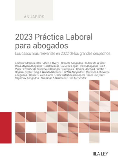 Imagen de 2023 Práctica Laboral para abogados
