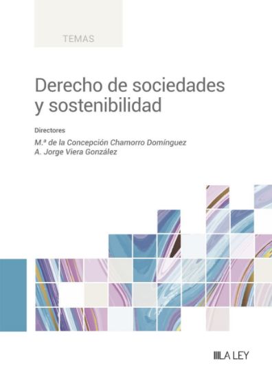 Imagen de Derecho de sociedades y sostenibilidad