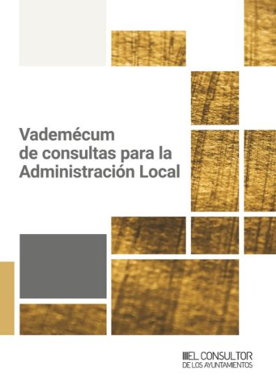 Imagen de Vademécum de consultas para la Administración Local