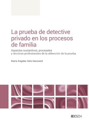 Imagen de La prueba de detective privado en los procesos de familia