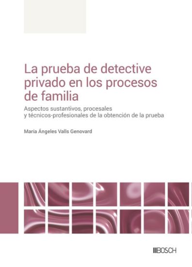 Imagen de La prueba de detective privado en los procesos de familia